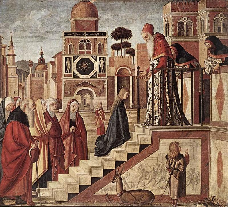 The Presentation of the Virgin fdg, CARPACCIO, Vittore